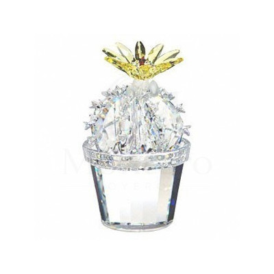 Cactus en flor -291549