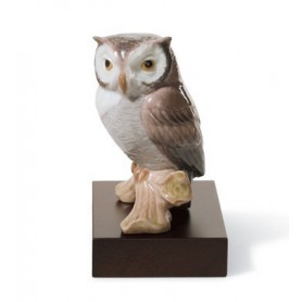 Buho de la Suerte-01008035