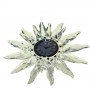 Reloj Solaris -221626