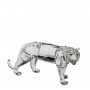 Tigre -220470