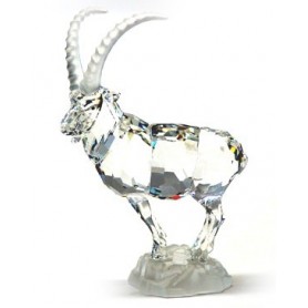 Cabra Montesa -275439