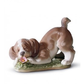 ¡Qué bien huele!-01006832