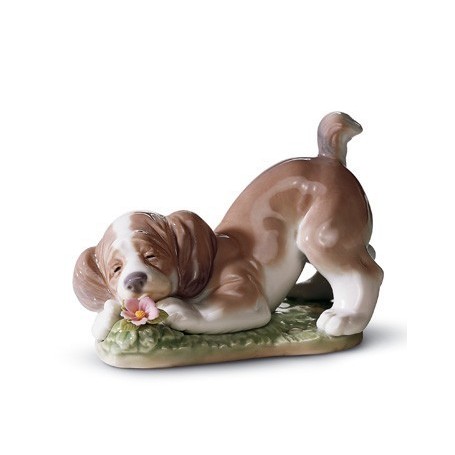 ¡Qué bien huele!-01006832