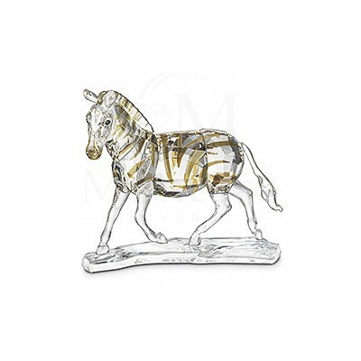 Zebra-1050853