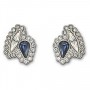 Swarovski Earrings-1110443-SWAROVSKI-www.monteroregalos.com-