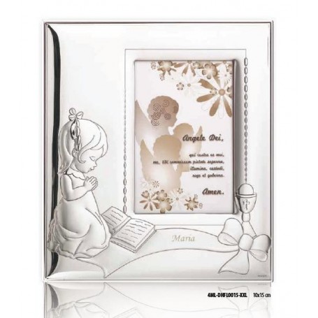 Flamingo Silver Gift