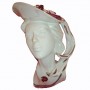 Busto Dama