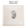 Sterling Silver Album