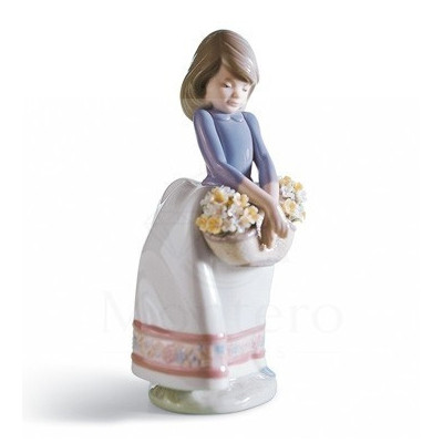 Dulcemente Tímida-01005467