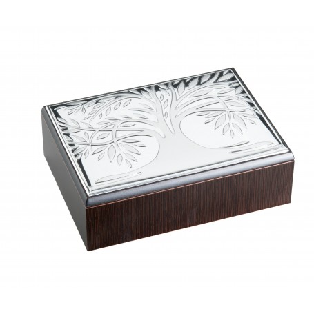 Bilaminated Silver Jewel Box