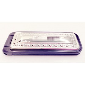 Cepillo Ropa con Plata