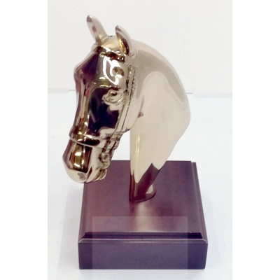 Busto Caballo