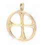 Gold Plated Silver Jewel