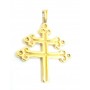 Gold Plated Silver Jewel