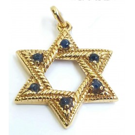 Gold Plated Silver Jewel