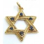 Gold Plated Silver Jewel