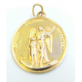 Gold Plated Silver Jewel