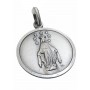 Medalla de Plata Virgen Milagrosa