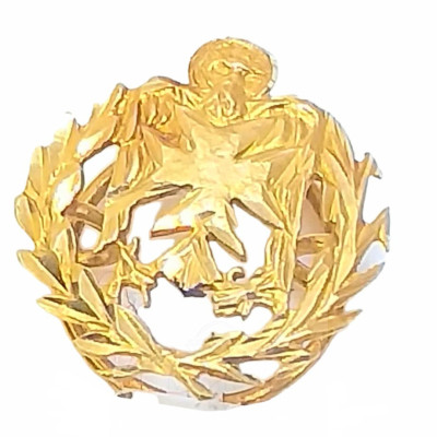 Broche Solapa Oro Pin Insignia Enfermeria