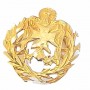 Broche Solapa Oro Pin Insignia Enfermeria