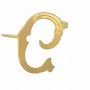 Broche Solapa Oro Pin Letra C