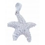 Colgante Oro Blanco Estrella Mar Circonitas