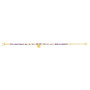 Gold Plated Stainless Steel - Montero Jewelry and Watches