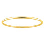 Pulsera Aro Acero Dorado