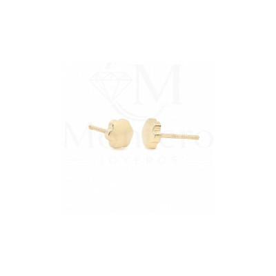 Pendientes Oro 9K Flor Brillo
