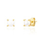 Gold Plated Silver Earrings