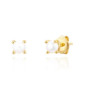 Gold Plated Silver Earrings