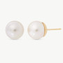 Pendientes Dorados Perla 8mm Lyra