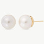 Pendientes Dorados Perla Majorica 10mm Lyra