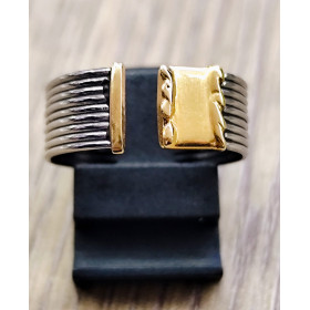 GOLD AND STEEL RING