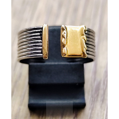 GOLD AND STEEL RING