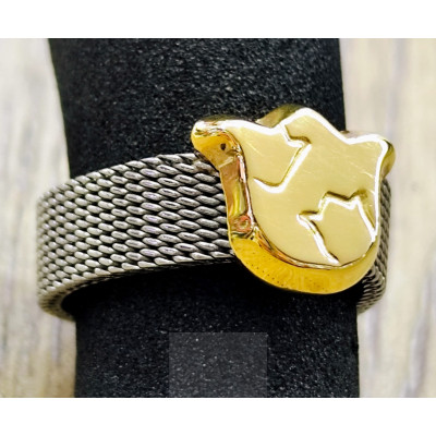 GOLD AND STEEL RING