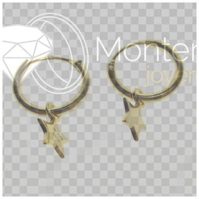 Gold Plated Earrings