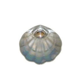 Baptism Shell - 011901408