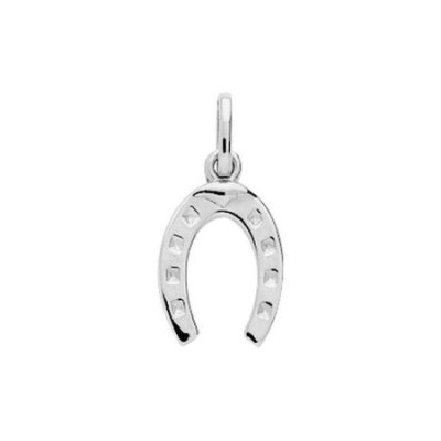 Colgante Plata Herradura