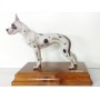 Gran Danes Porcelana Buen Retiro