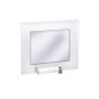 Crystal and silver Plaque