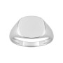 Sello de Plata Cuadrado Liso