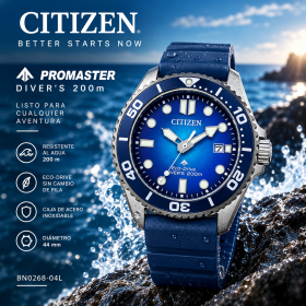 Citizen Diver's Eco-Drive BN0267-04L