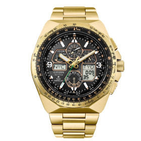 |H804 CITIZEN| Citizen Watch - Montero Jewelry and Watches